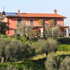 Olivia And Bed & Breakfast Cantagrillo